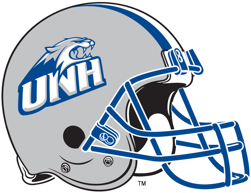 New Hampshire Wildcats 2000-Pres Helmet Logo DIY iron on transfer (heat transfer)
